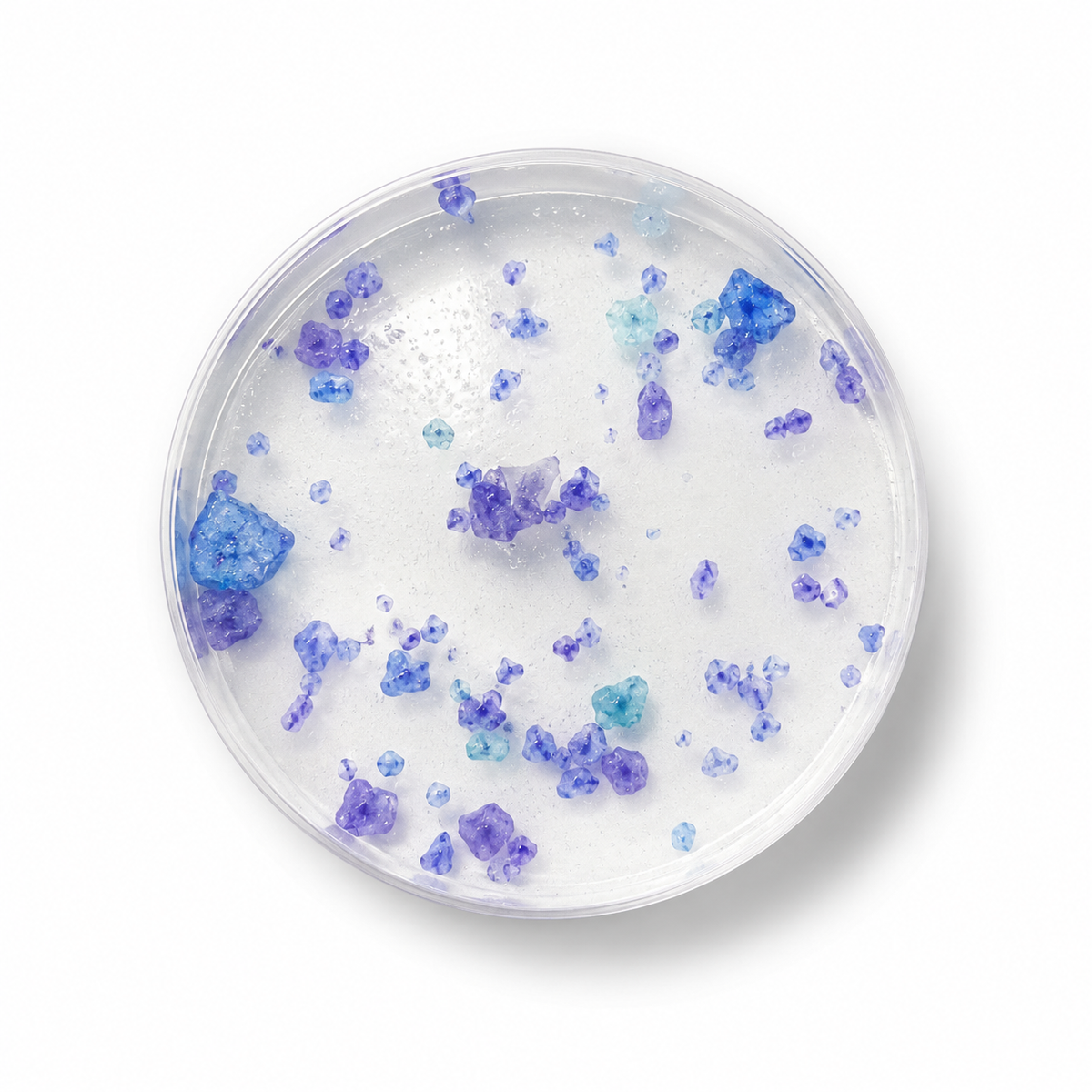 Bacteria Brush Soap 40cc